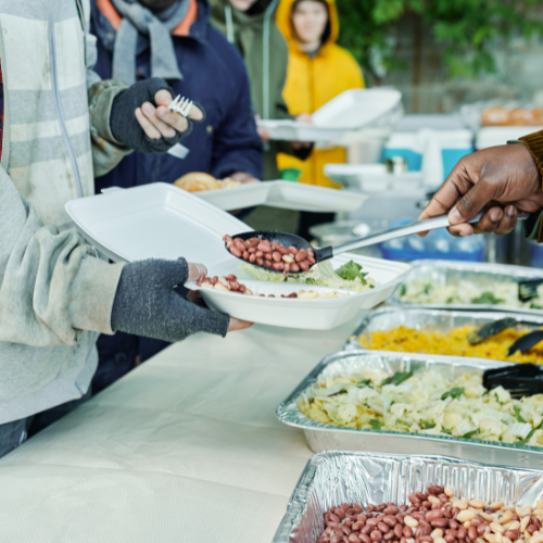 Social Shift Institute Successful project - We Care 2 Inc.